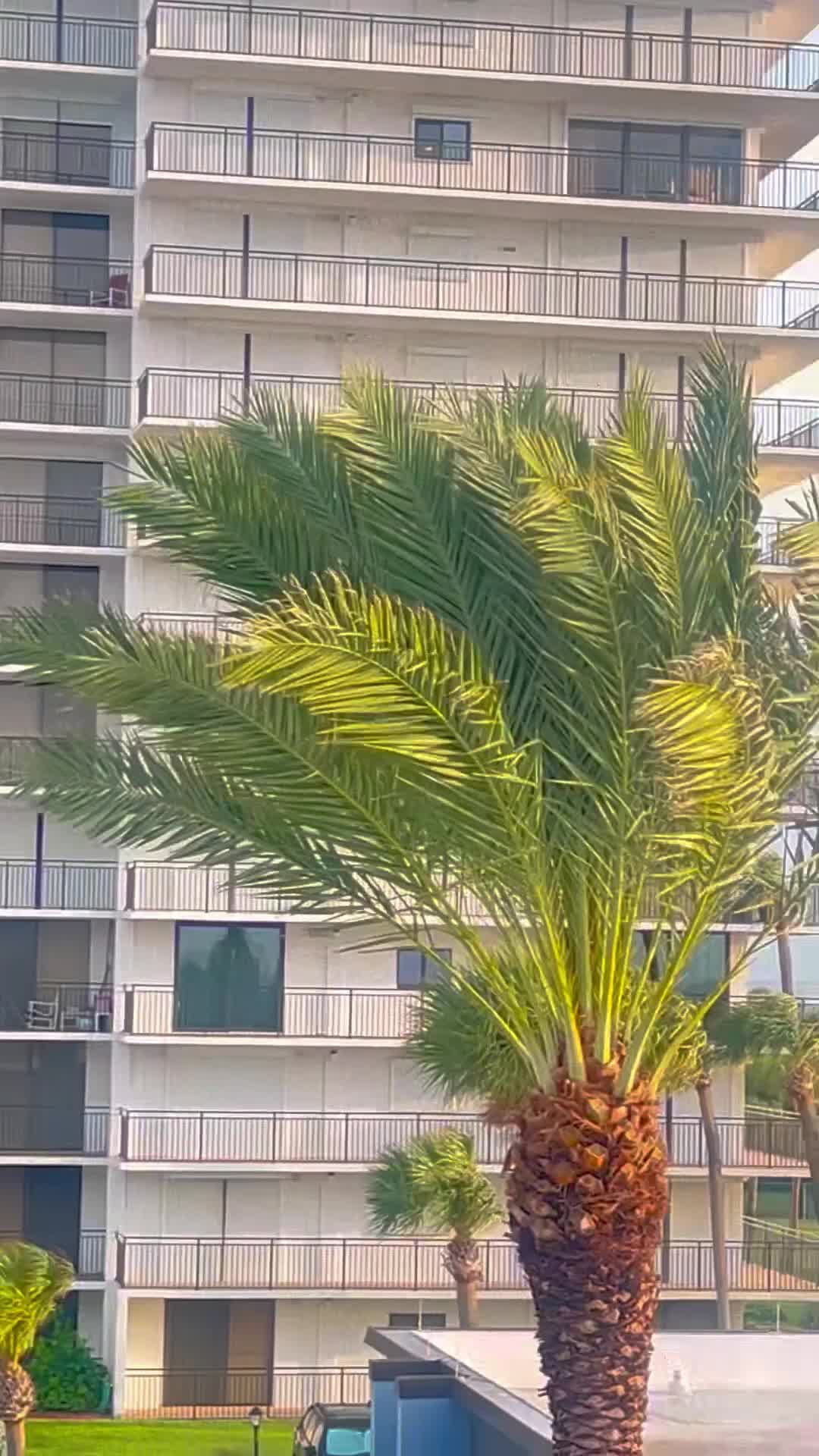 Video review of DoubleTree by Hilton