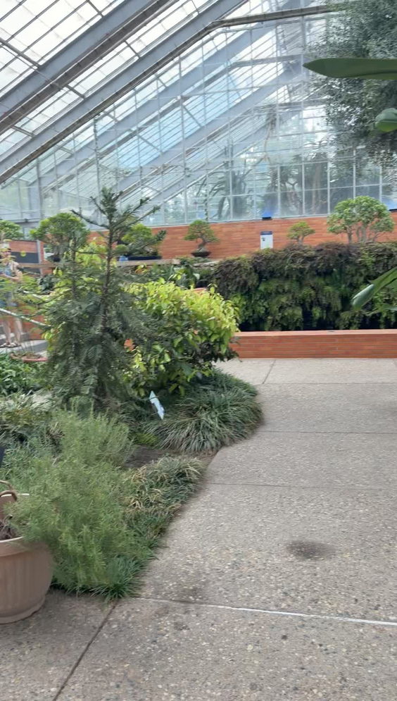 Bonsai Garden