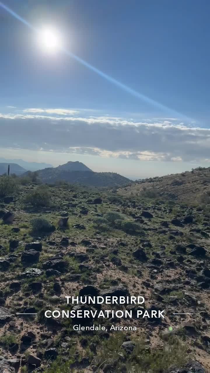 Thunderbird Park