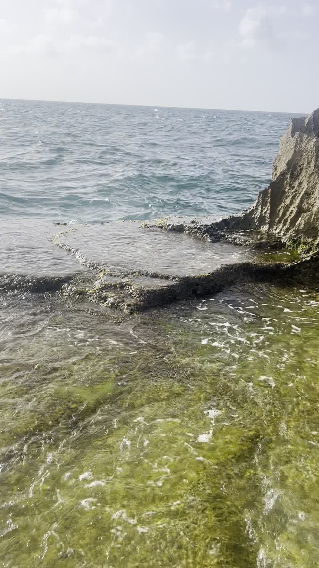 Acuario (Arecibo Lighthouse & Historical Park)