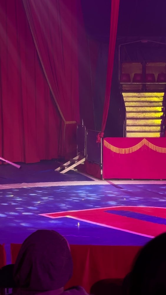 Do Portugal Circus