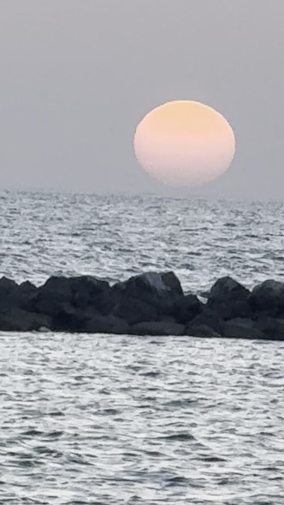 Ocean Marine