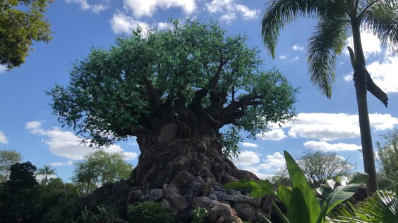 Disney's Animal Kingdom