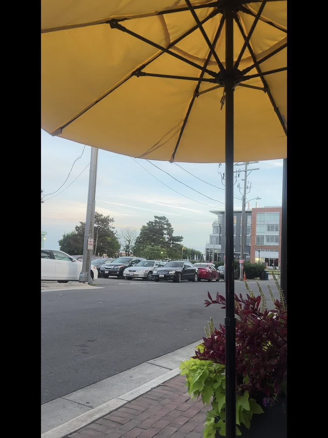 Video review of Chadwicks