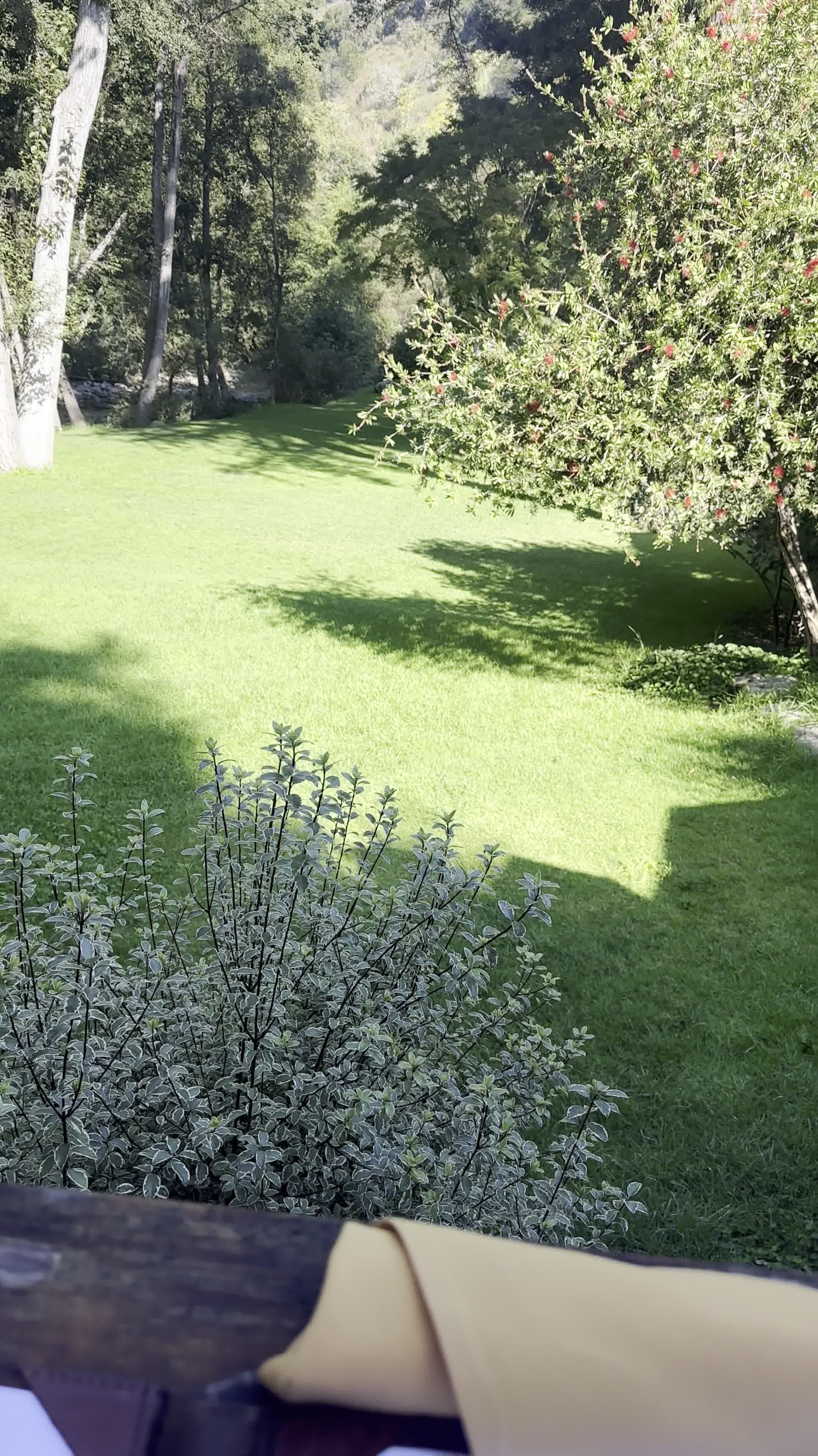 Video review of Big Sur River Inn