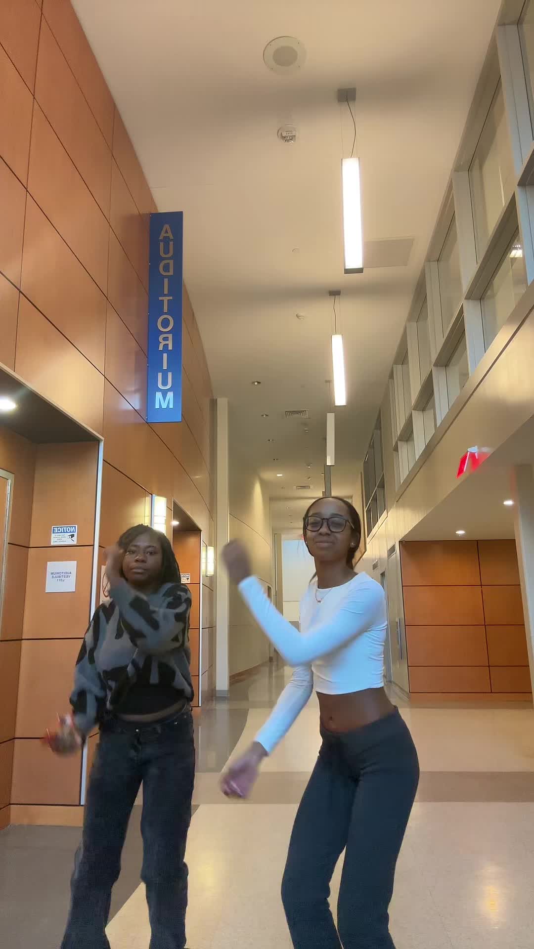 Video review of AMC Methuen 20