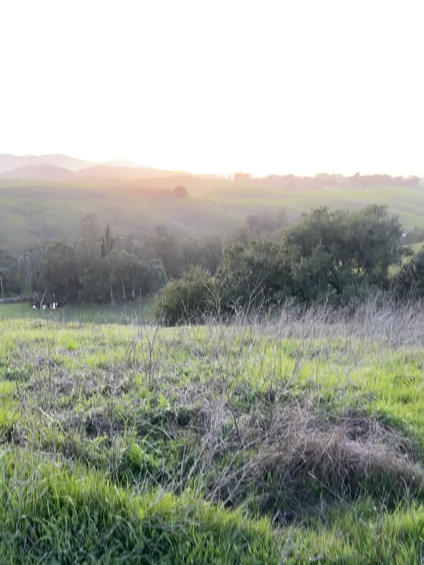 Helen Putnam Regional Park