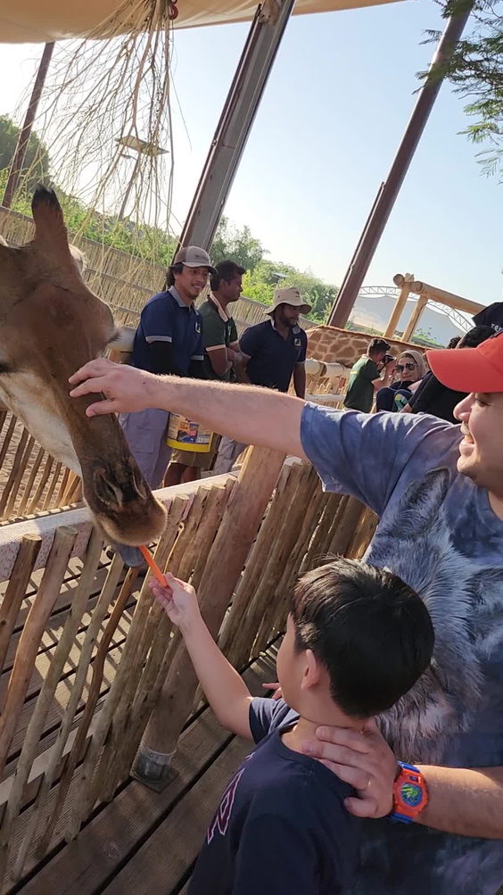 Dubai safari