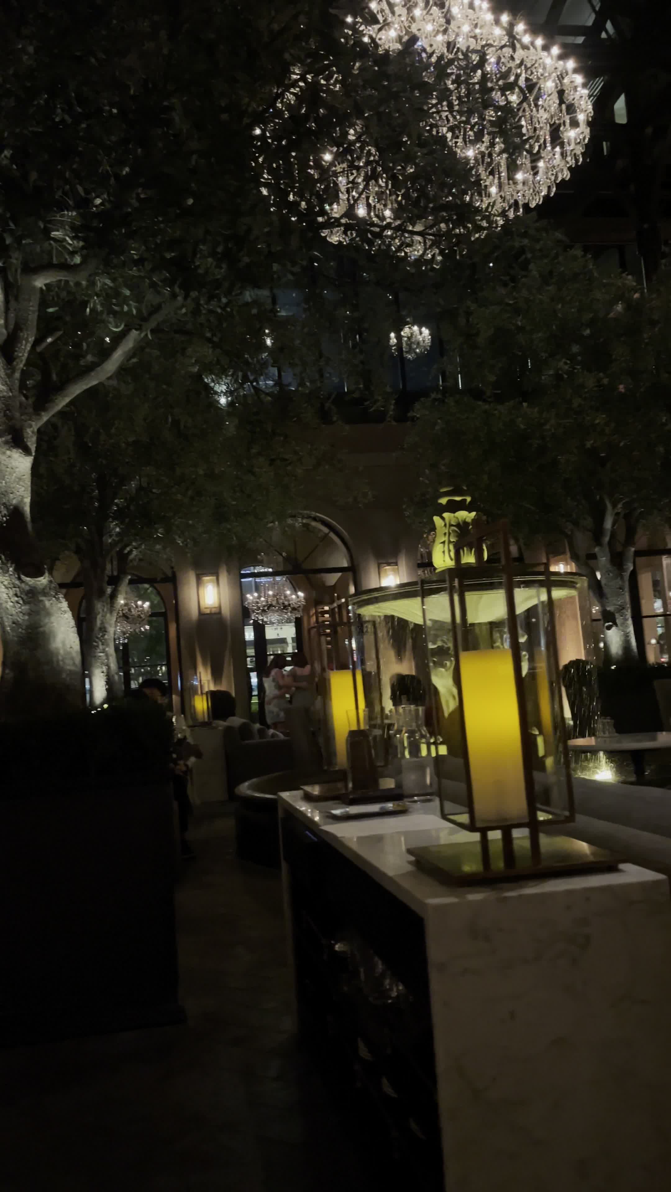 Video review of Restoration Hardware