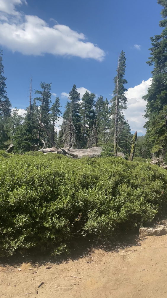 Yosemite Upper Falls Trail! 4.5miles Up