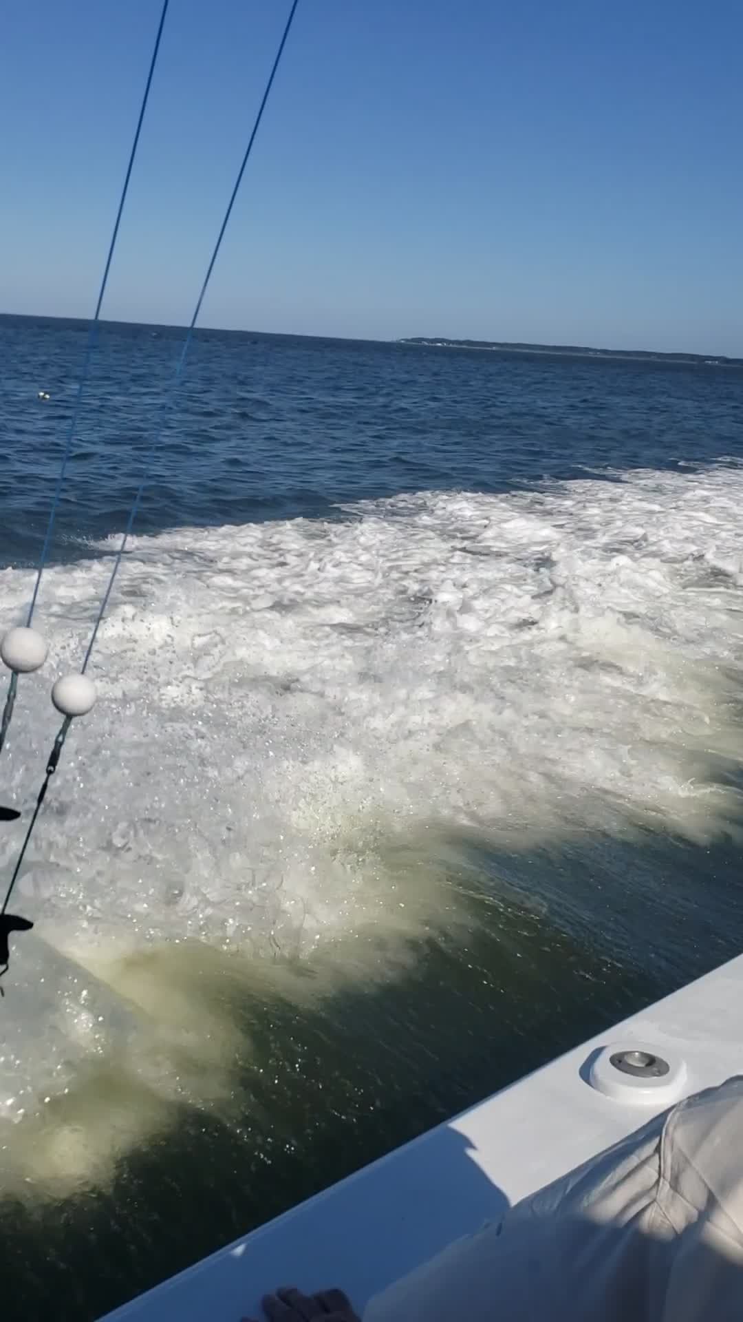 Stolat Fishing Charters