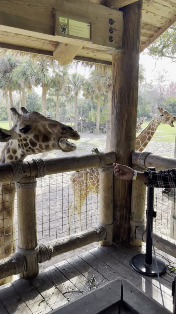 Jacksonville Zoo