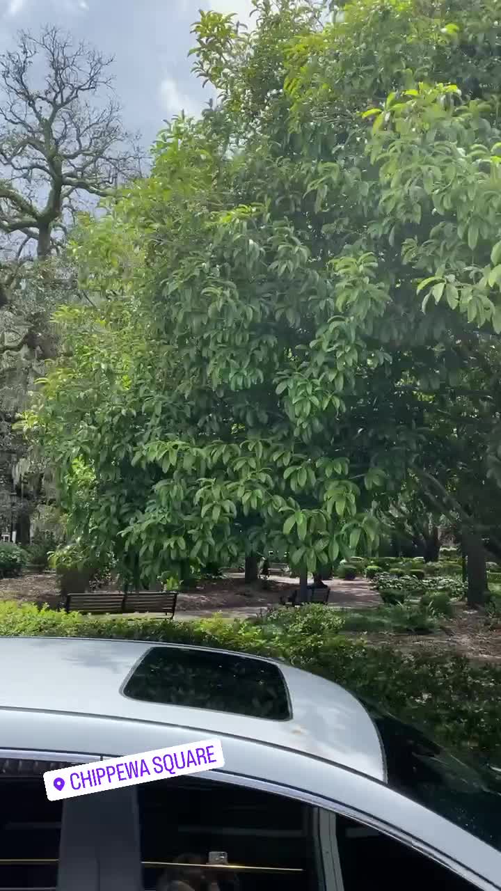 Video review of Chippewa Square