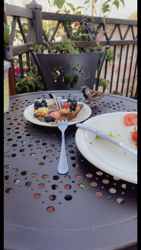Urth Cafe