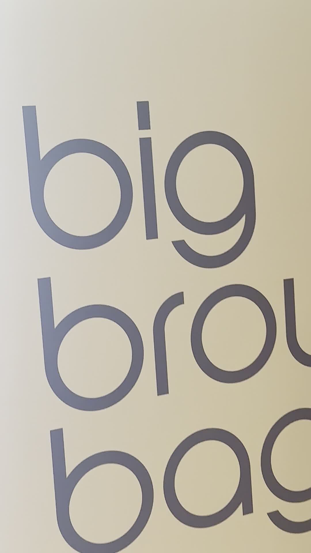 Video review of Bloomingdale's