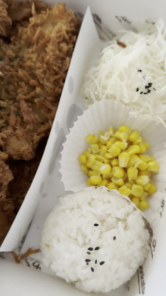 Brown Donkatsu
