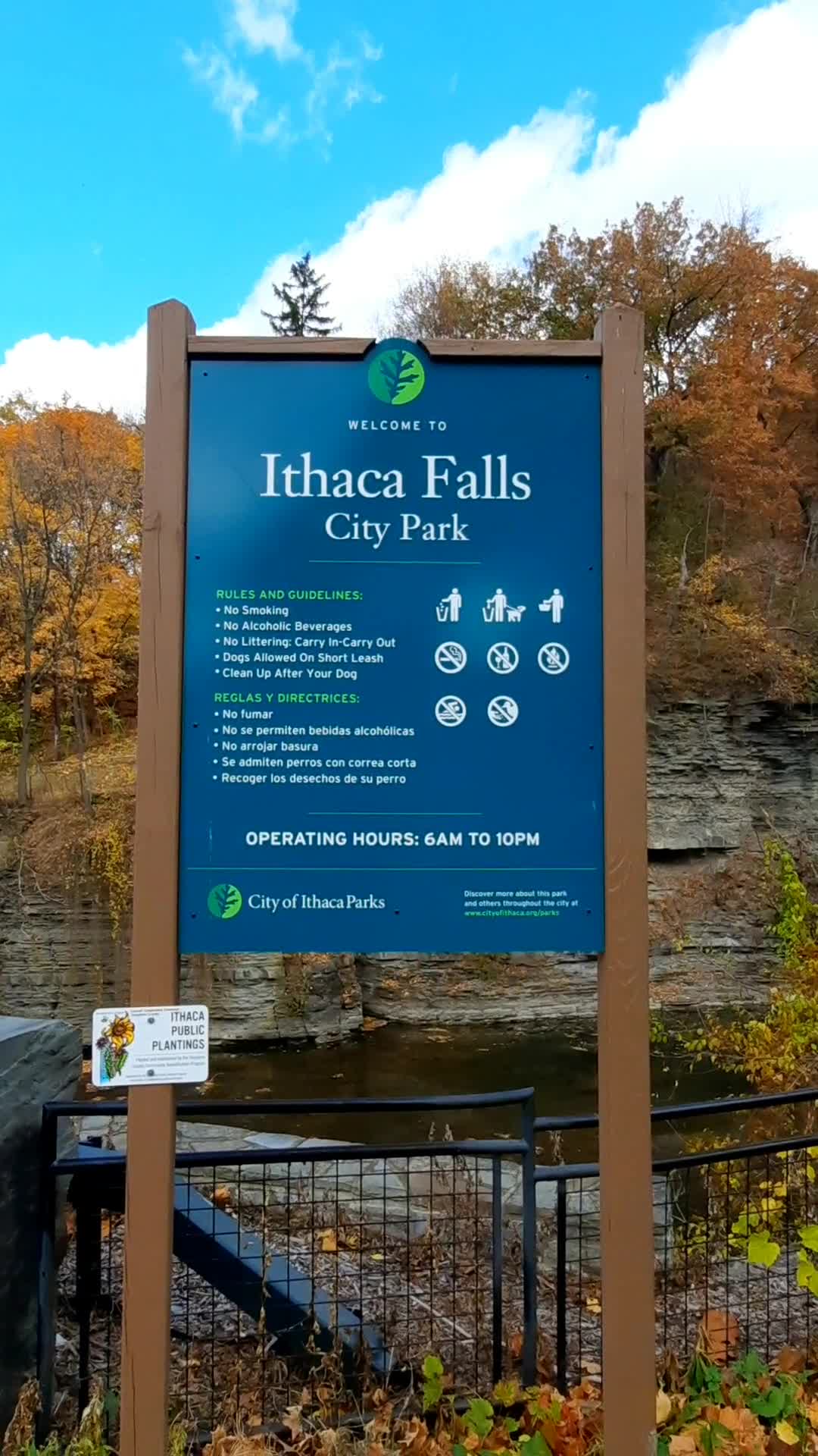 Ithaca Falls