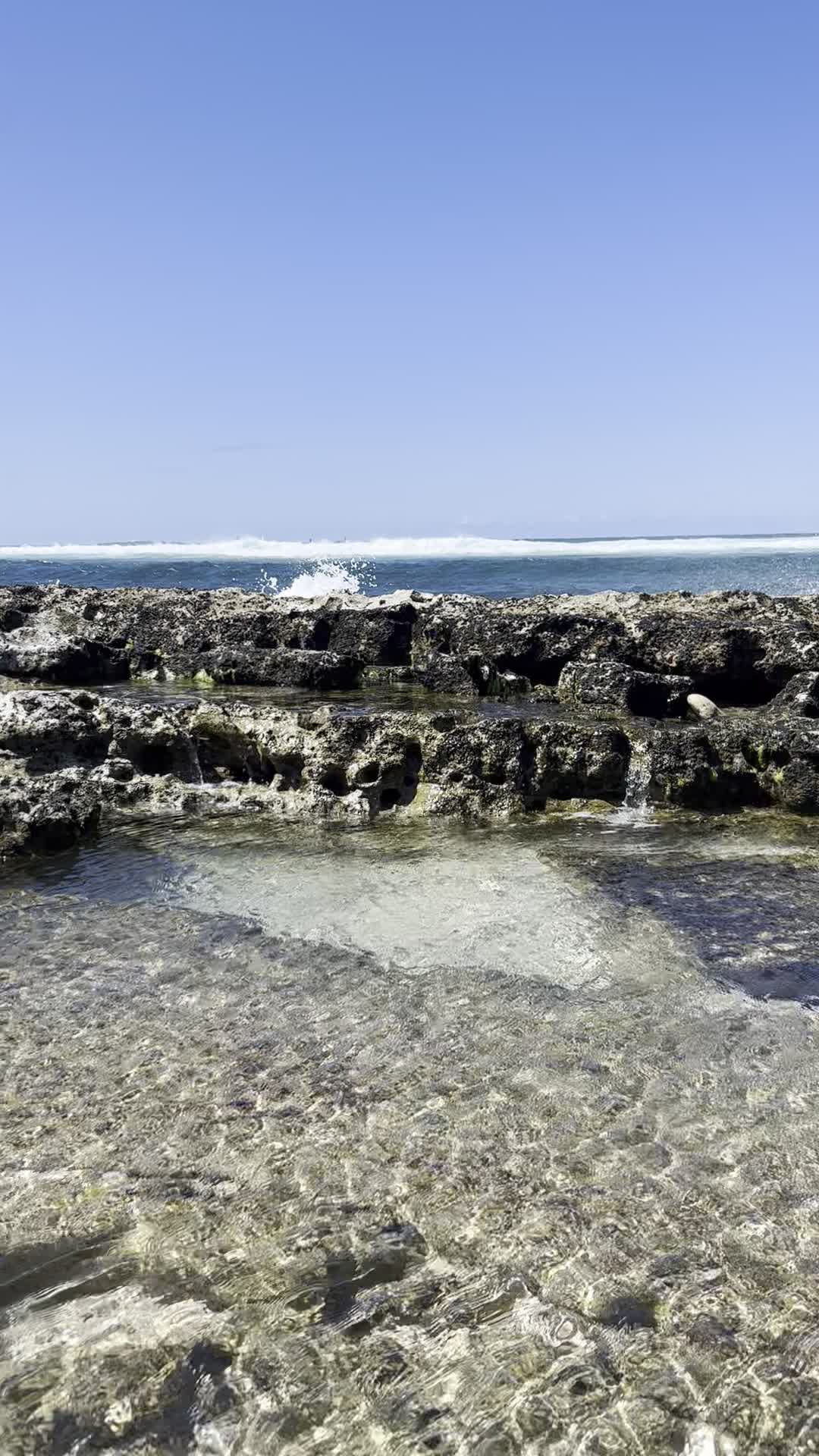 Video review of Hookipa Beach Park