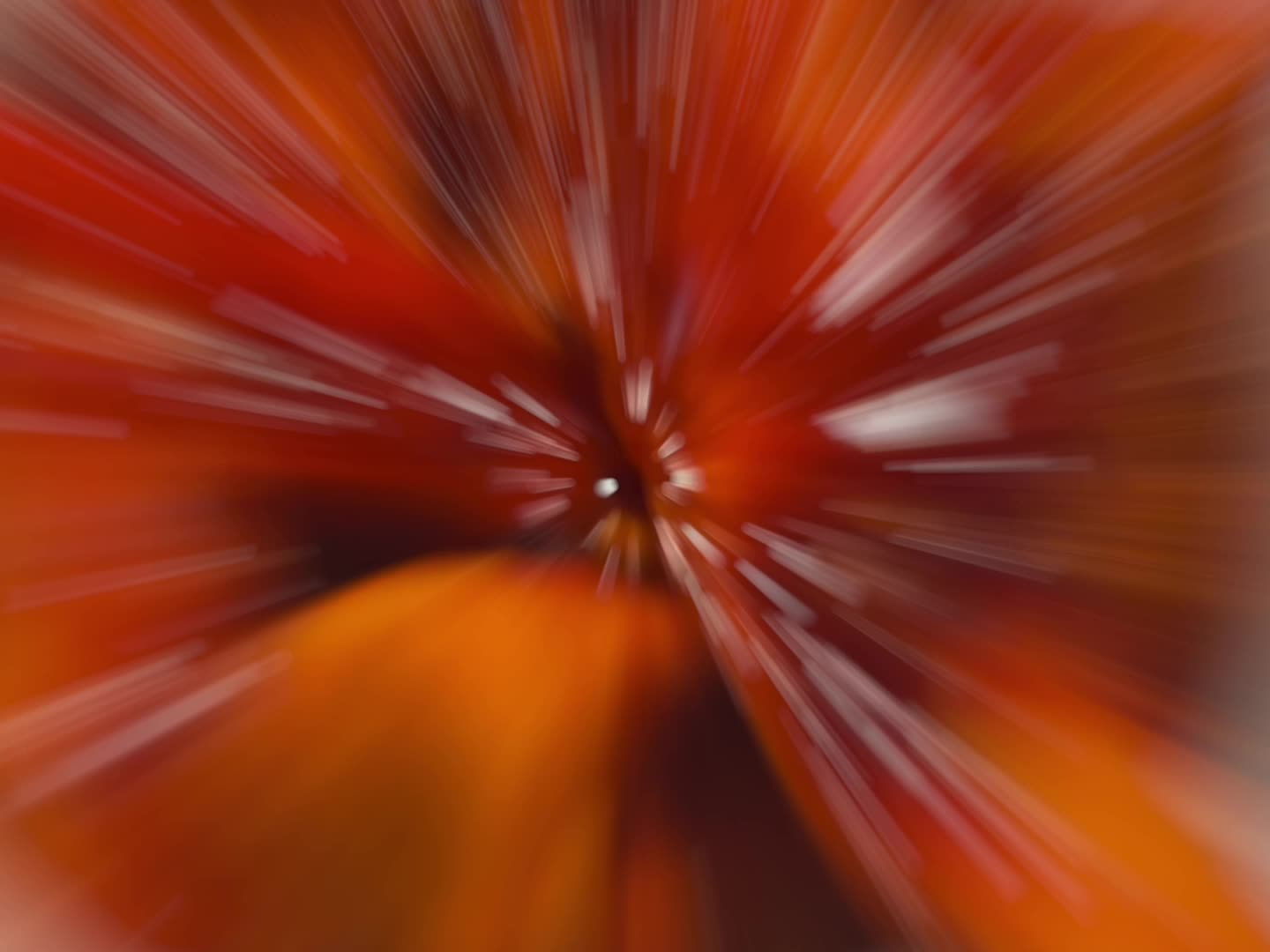 Spiced Roots Restaurant