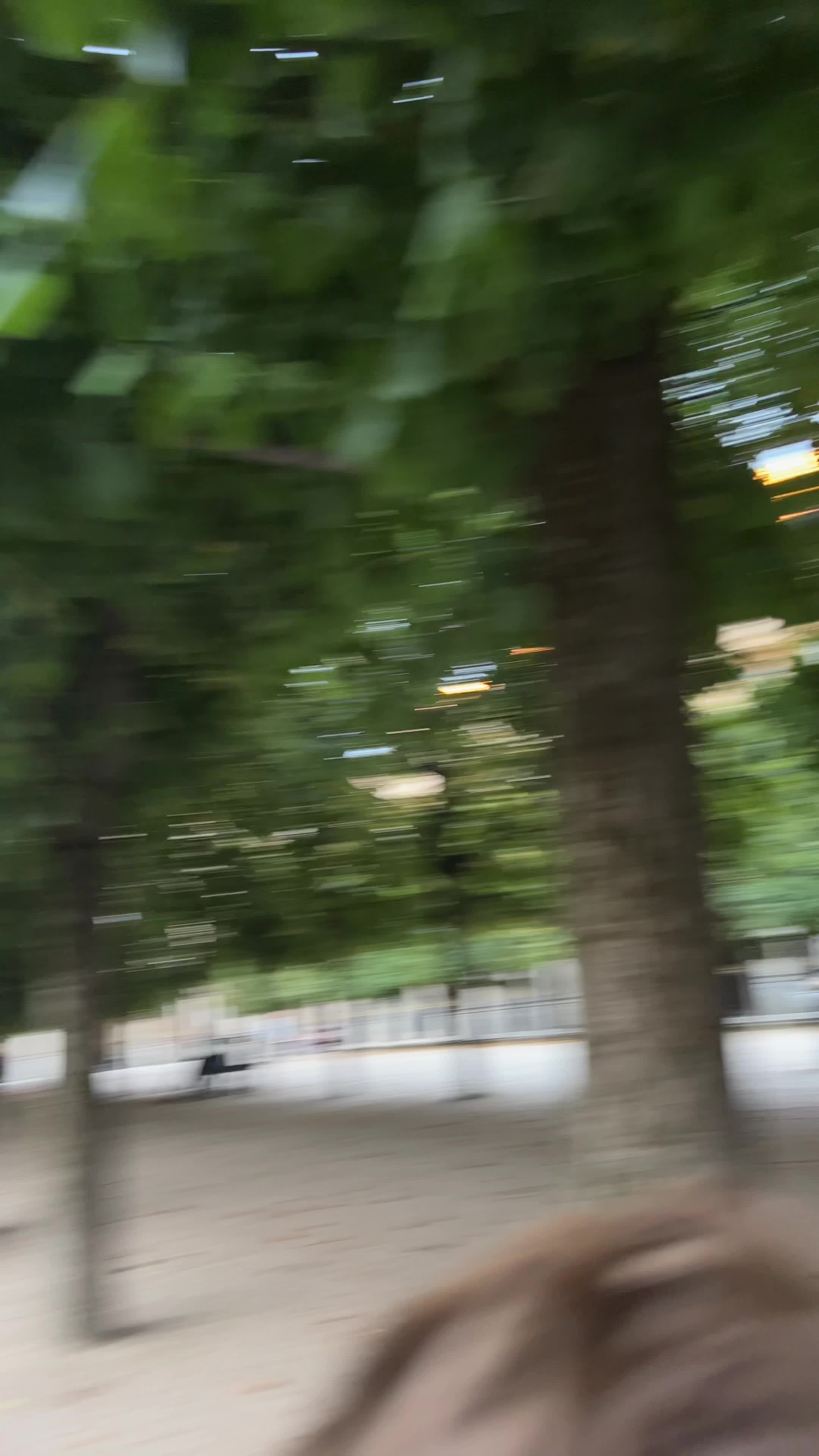 Le Palais Royal