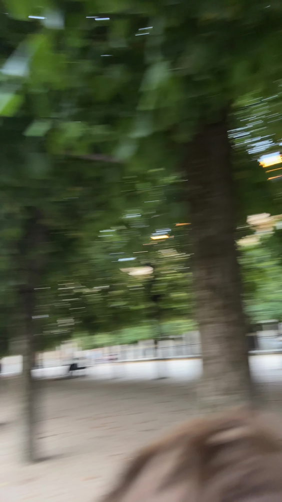 Le Palais Royal
