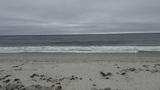 Moss Beach