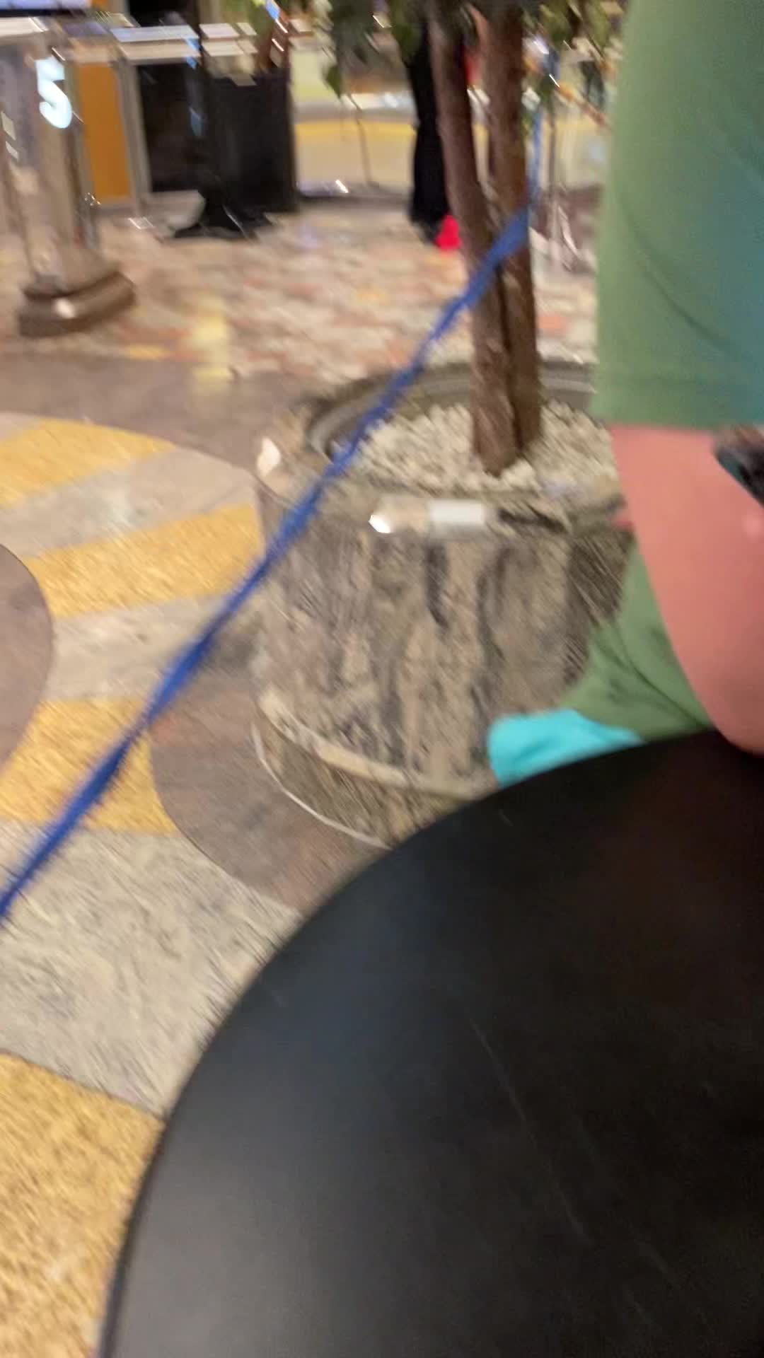 MS Freedom of the Seas