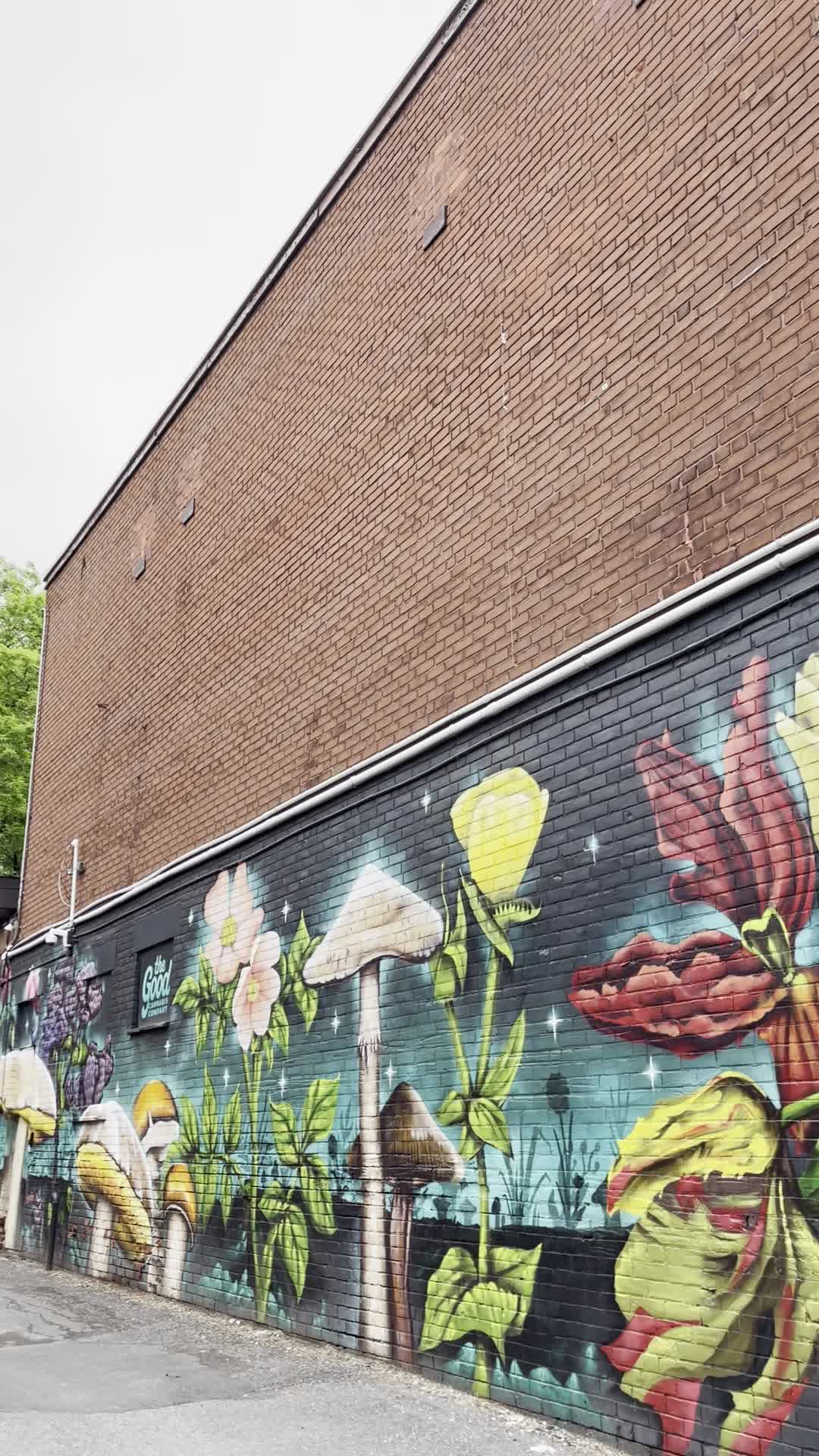 Little Victories Glebe