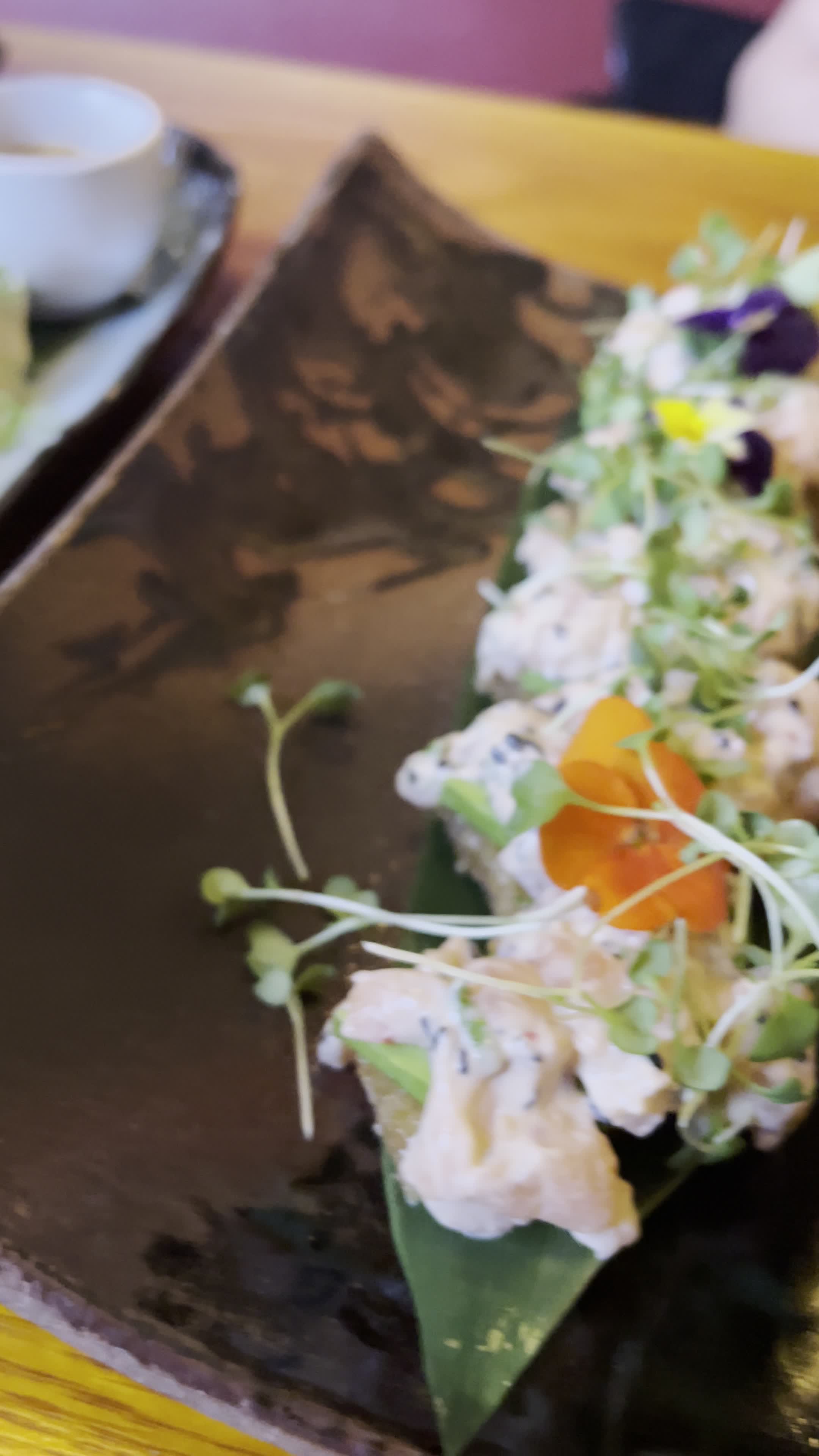 Video review of Ozumo