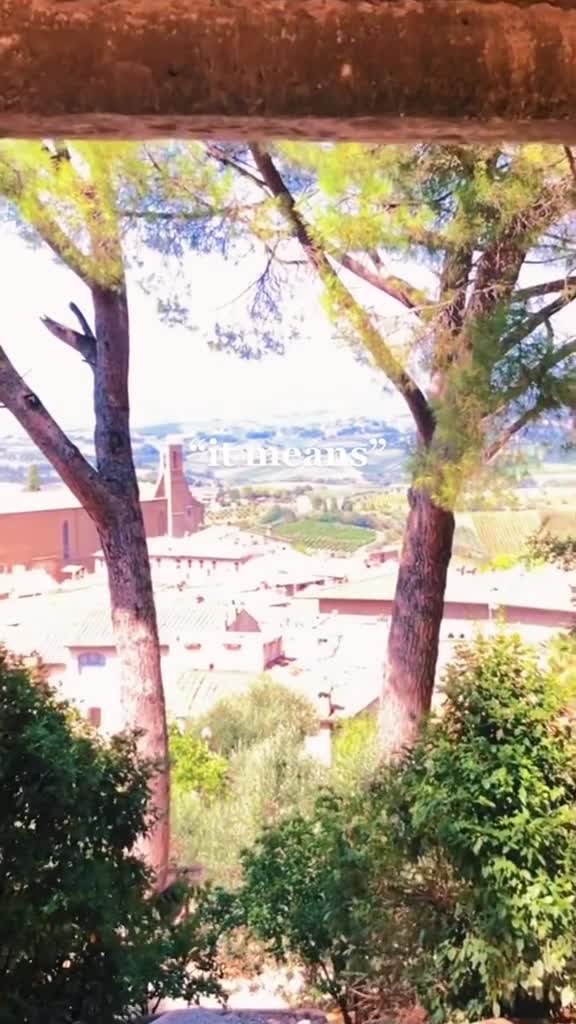 Fattoria Poggio Alloro