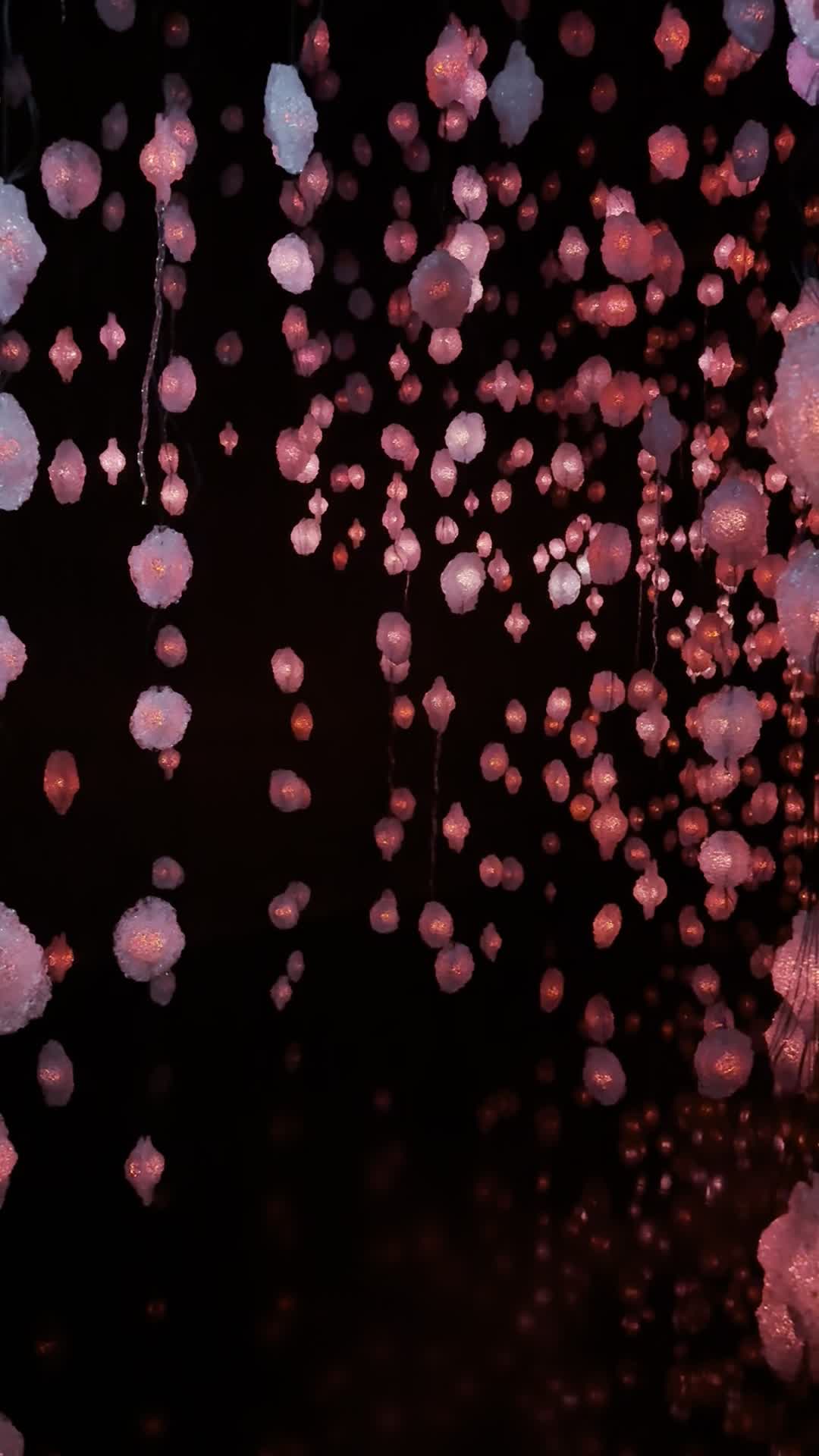 Video review of Kunsthaus Zürich