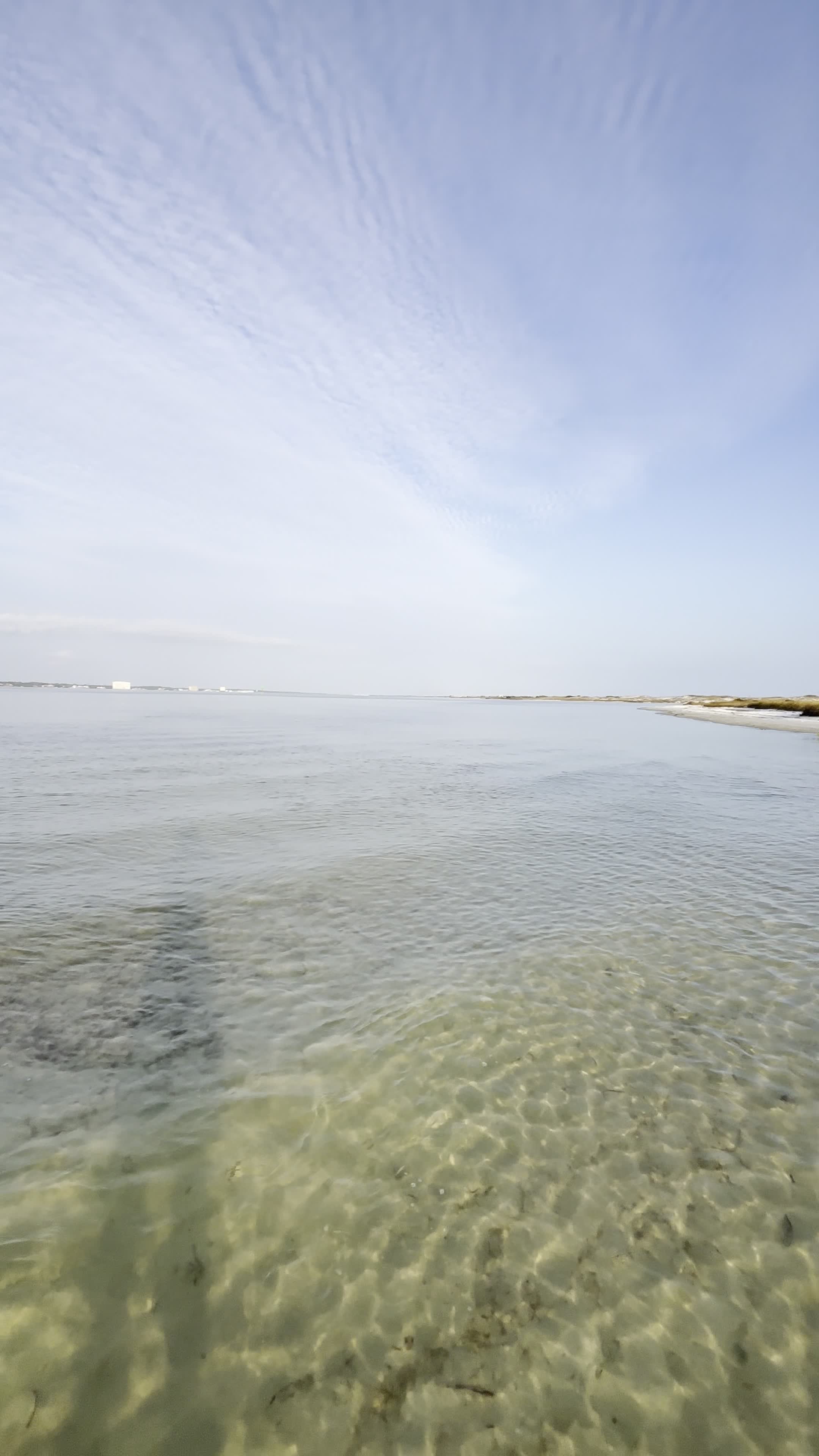 Video review of Oyster Bar Restaurant & Marina