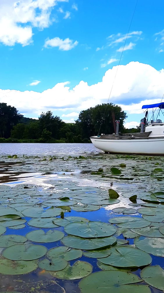 Cayuga Waterfront Trail