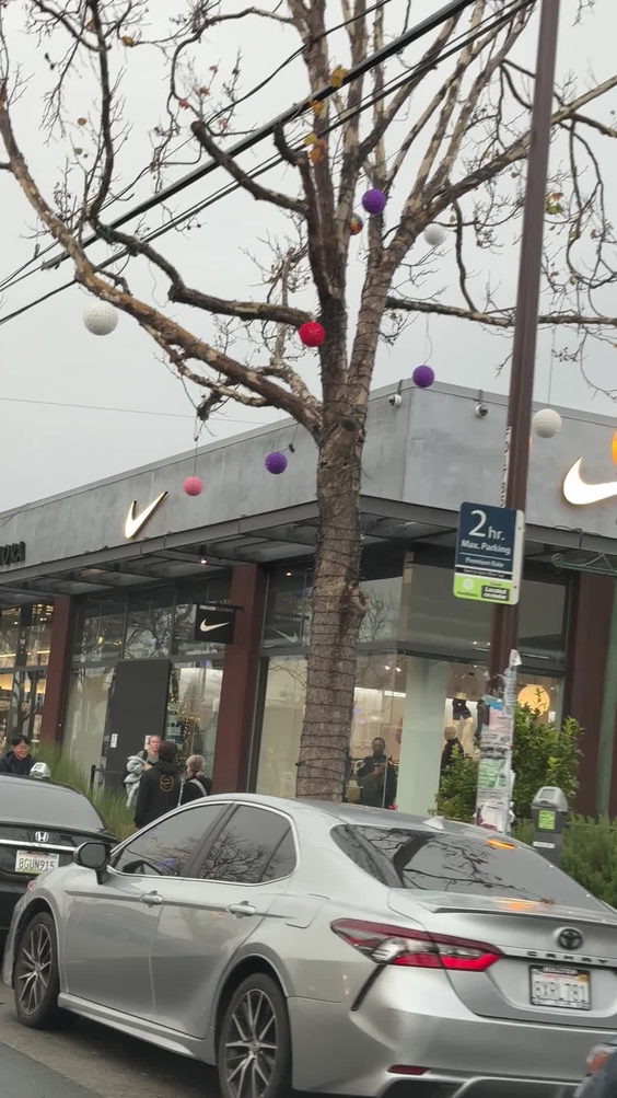 Nike berkley