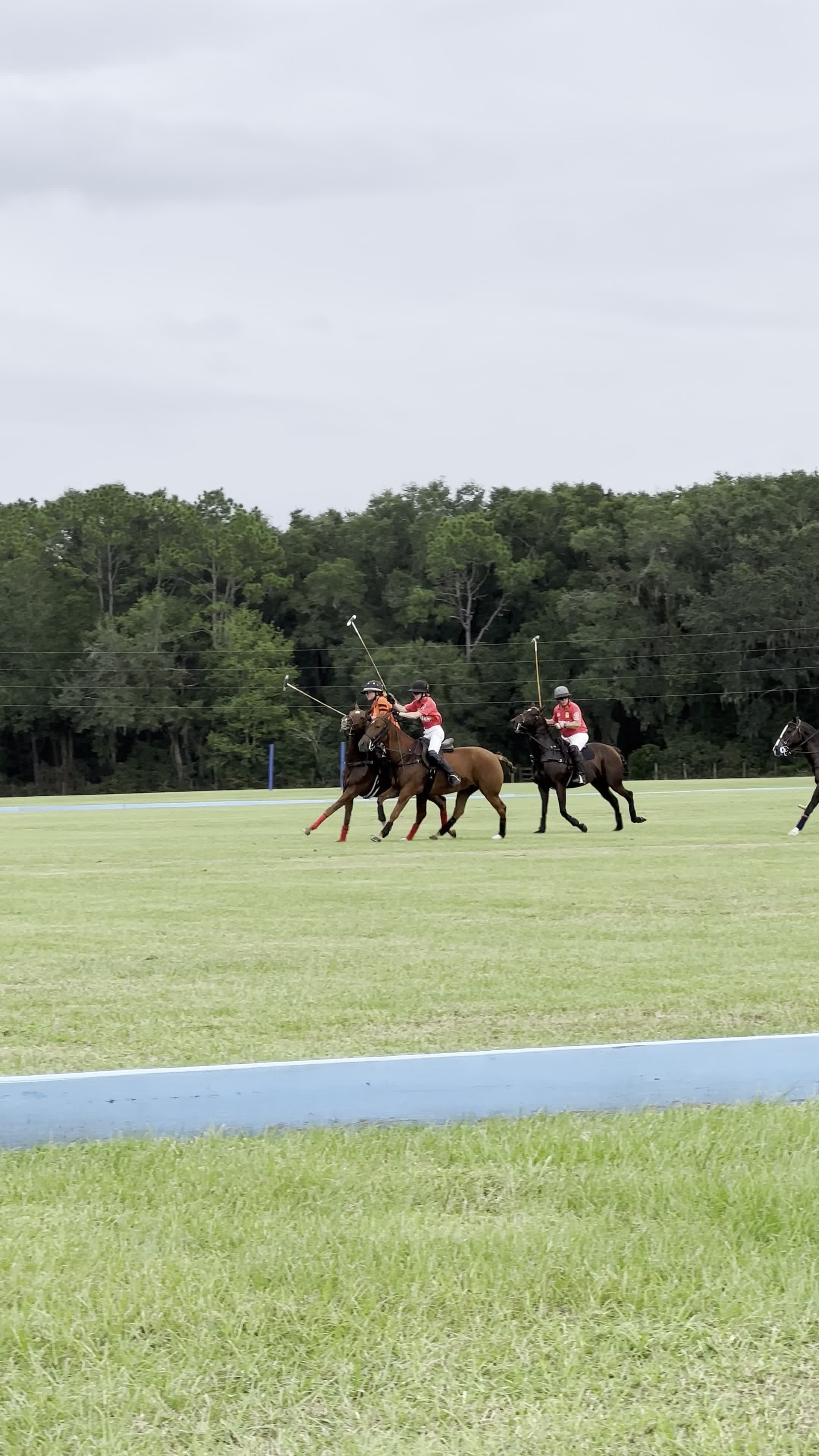 FL Horse Park