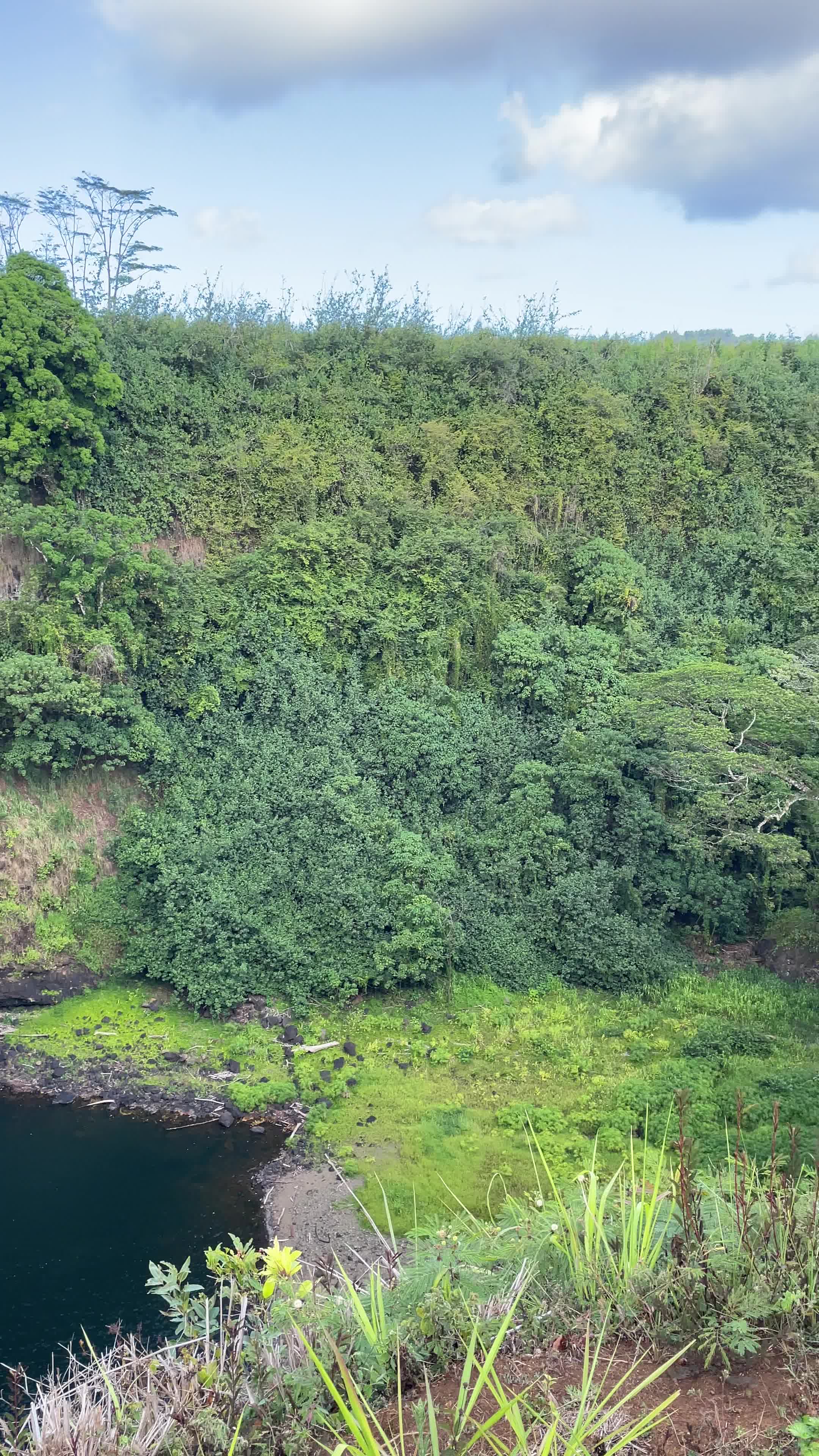 Wailua Falls