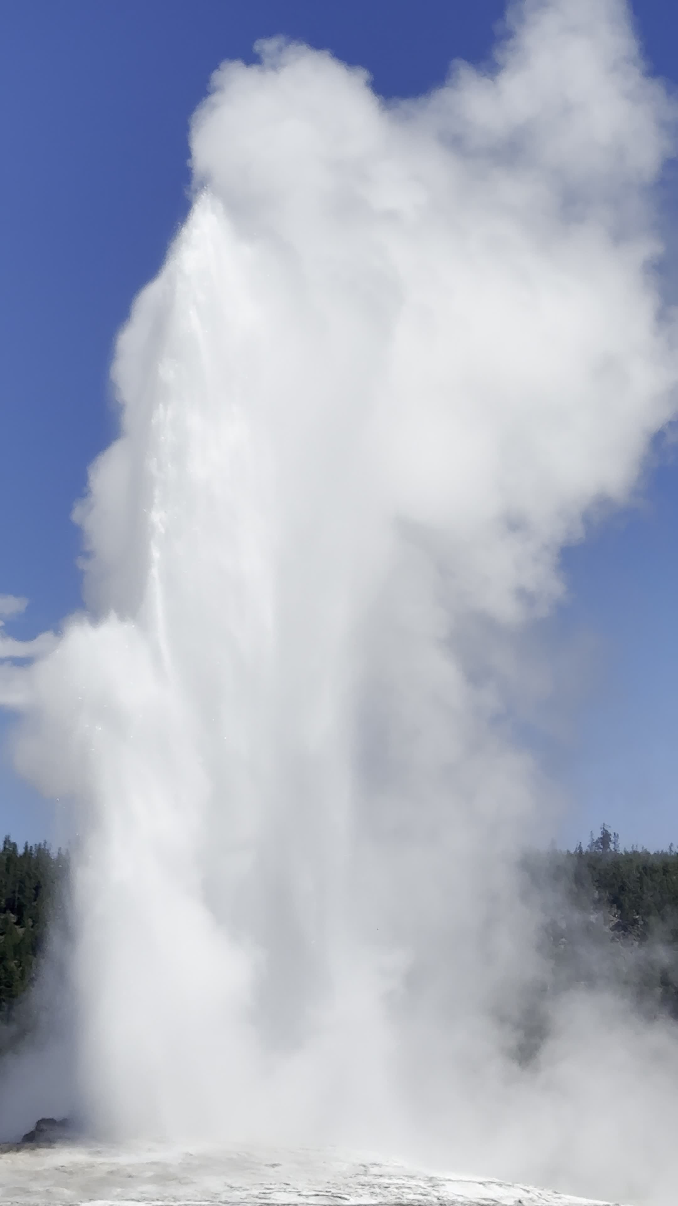 Old Faithful Geyser
