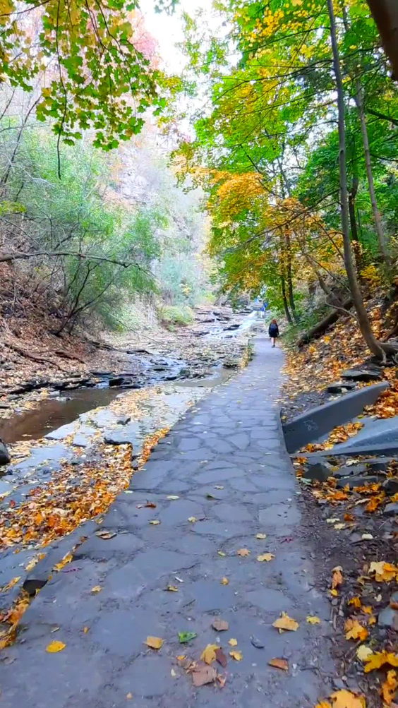 Cascadilla Gorge