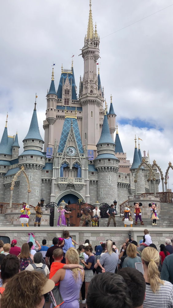 Cinderella Castle