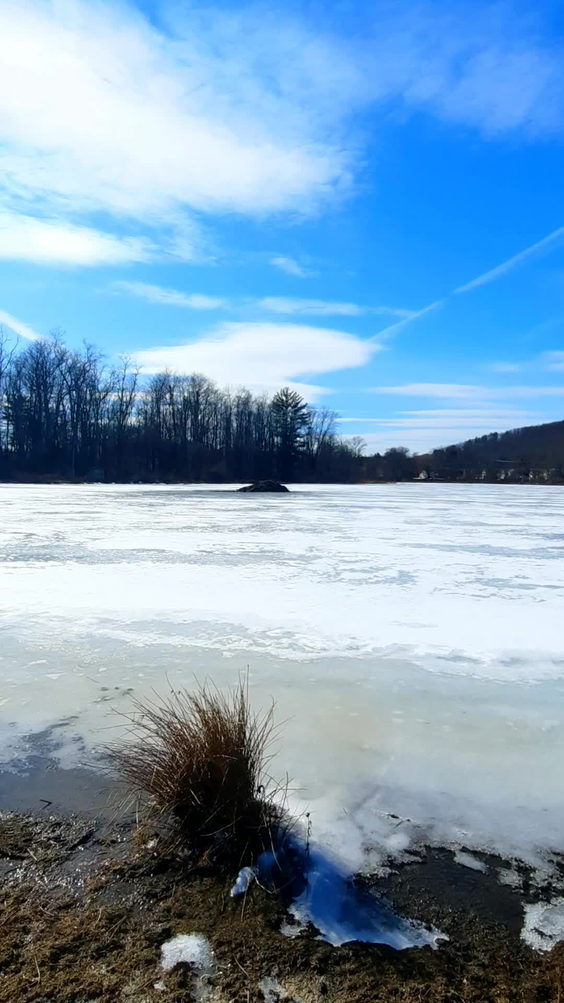 Brick Pond