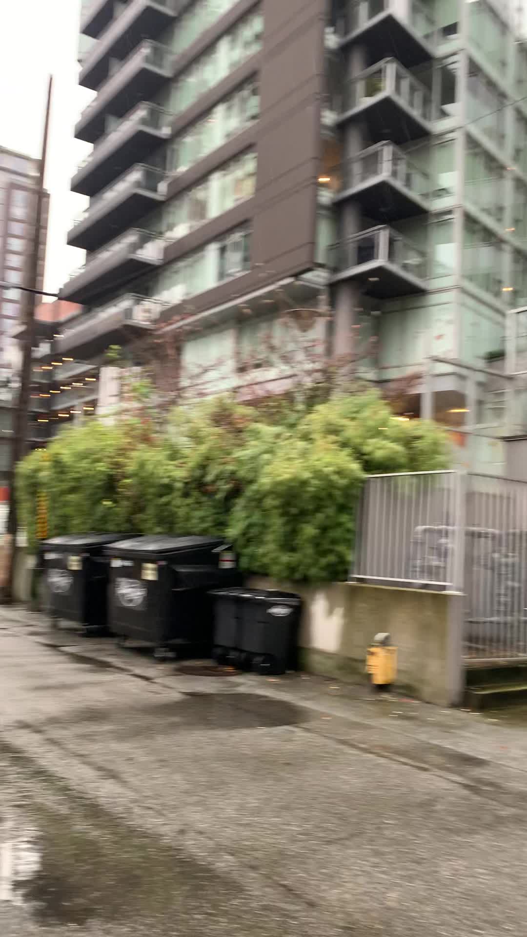 Video review of English Bay Beach