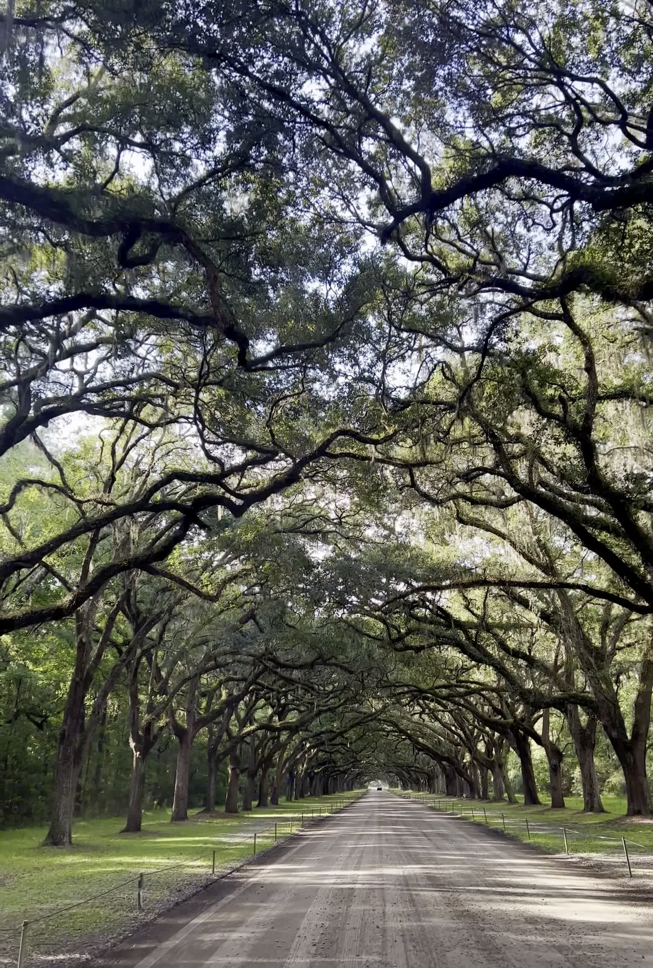 Wormsloe State Historic Site