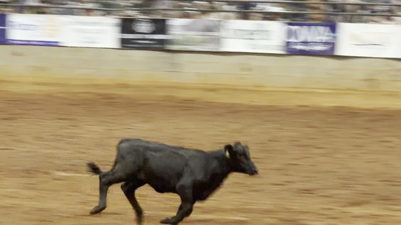 Baldwin County Fair
