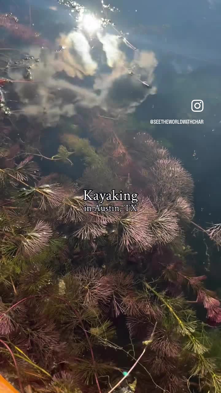 Video review of Barton Creek Square