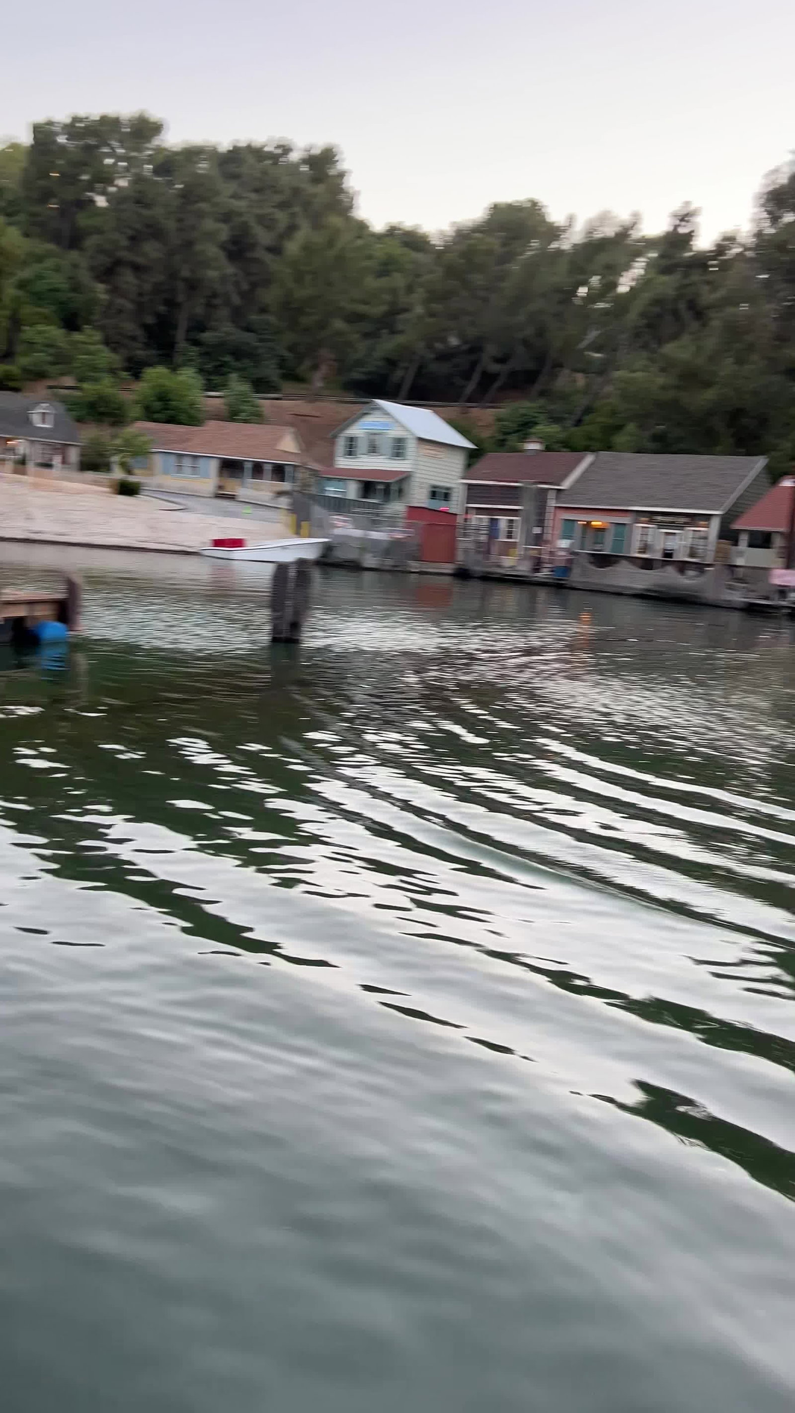 Video review of Jaws
