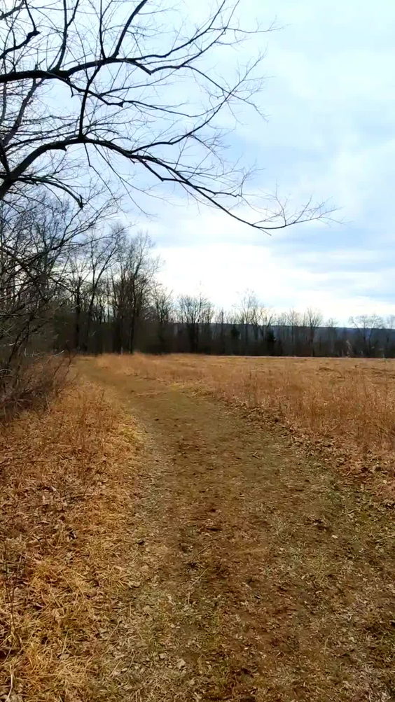 Sims-Jennings Preserve at Cayuga Cliffs