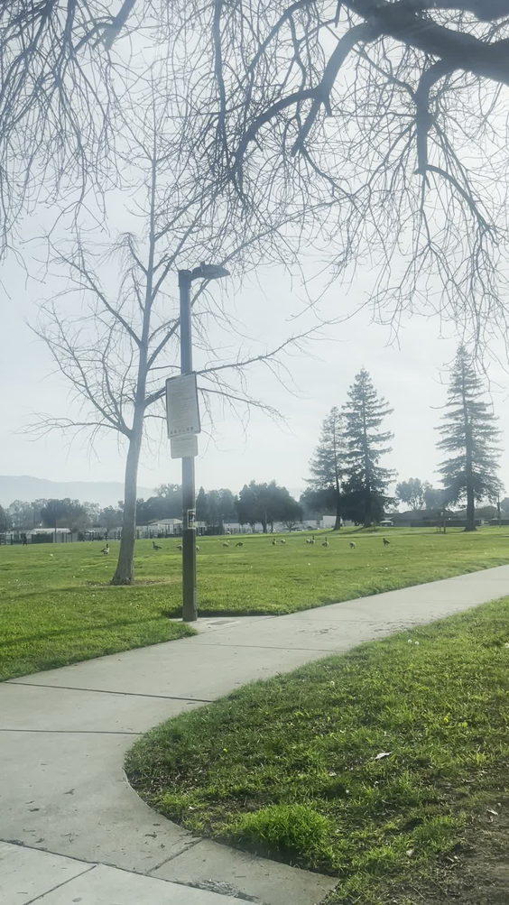 Fremont Central Park