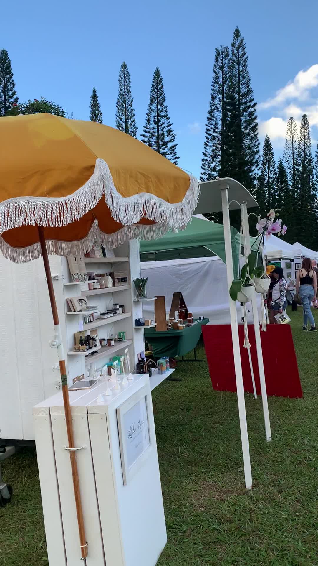 Princeville Playground