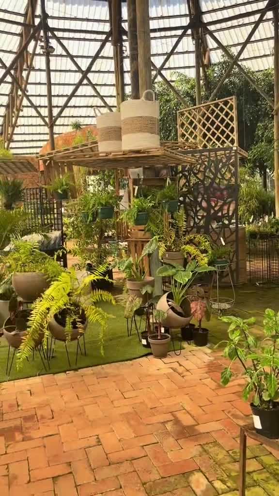 Safari Restaurant PTA Pty. Ltd.