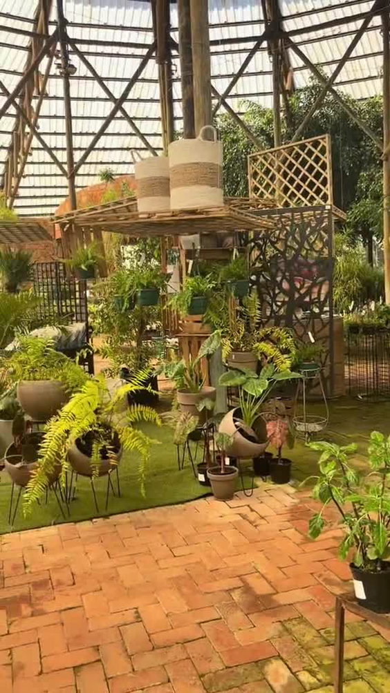 Safari Restaurant PTA Pty. Ltd.